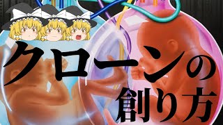 【ゆっくり解説】クローン作製は命の価値観を変えてしまう【生物学・倫理】