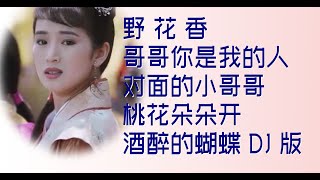 野花香|哥哥你是我的人|對面的小哥哥|桃花朵朵開|酒醉的蝴蝶|DJ版