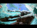 2,574km, The Zambezi Expedition Part 2.The River of Life_#001
