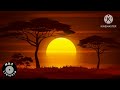 Bandros, Kelvin momo, Smash SA - Uhambe Wrongo (lyrics with English translation) 