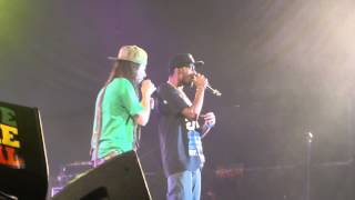 danakil et natty jean (live) garance reggae festival 2014