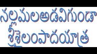 SRI SAILAM PADAYATHRA, నల్లమల అడవి గుండా శ్రీశైలం పాదయాత్ర