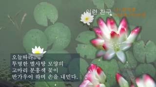 문익호 / 이런 친구/ 시낭송 / 박순애 ( 금주의 시 선정)