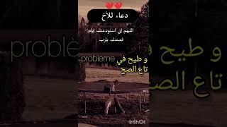 خوك خوك مالك #تيك_توك #لايفات #لايف_المشاهير #اخوتي #اخوكم