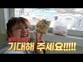 vlog 후계자 건우와 함께 아빠 회사로 출근하기 왕쥬 떡볶이 출시 임박 u0026 기철이의 법정 싸움