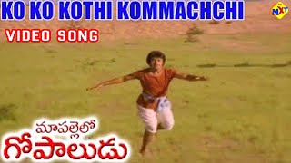 Ko Ko Kothi Kommachchi Video Song |Maa Pallelo Gopaludu Movie Songs | Arjun | Poornima | TVNXT Music