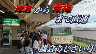 【鎌倉から青梅まで直通‼︎】武蔵野南線周り　臨時快速鎌倉あじさい号鎌倉発青梅行きに乗ってきた‼︎