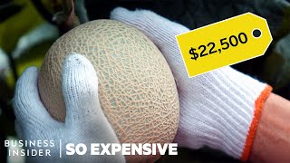 Why Japanese Melons Are So Expensive | So Expensive