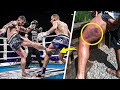 Most Brutal Low Kick KO's in Combat Sports