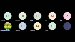 Science session grade 7t #solubility#15th November