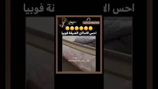 فـ/اكتب عندي وخلي الكيبورد يكمل✨!. #shorts