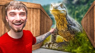 Working At The World's Best Reptile Zoo!