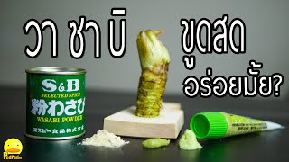 เทียบวาซาบิแบบต่างๆ อันไหนอร่อยสุด? วาซาบิบดสดๆอร่อยมั้ย? - PedPed TV