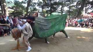 2015三島神社秋祭り　和田町 唐獅子（獅子舞）　(愛媛県八幡浜市保内町)