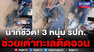 ลุ้นระทึก! 3 หนุ่ม รปภ. ช่วยชีวิตเต่าทะเล เกยตื้นบนฝั่ง ติดซากอวนประมง เกือบไม่รอด