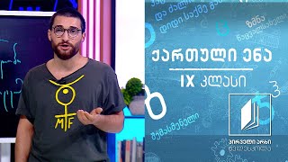 ქართული, IX კლასი - რატომ ვკითხულობთ ლიტერატურას #ტელესკოლა