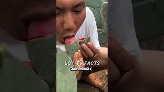 Bakit may mga CACTUS FARM?