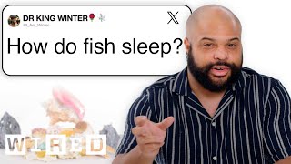 Marine Biologist Answers Fish Questions From Twitter | Tech Support | WIRED