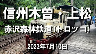 信州木曽・上松の #赤沢森林鉄道 、先頭車展望　#shorts　#トロッコ