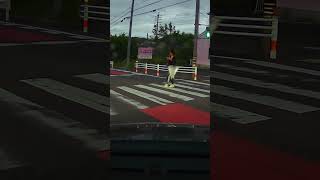 【ドラレコ】横断歩道前の歩行者を見逃した？