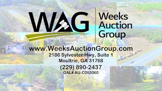 Investment Properties: Lee and Dougherty County, Georgia