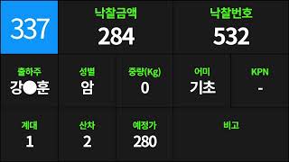 예천축산농협 1월 26일 경매가축시장