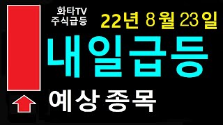 8월23일  내일급등 예상종목 화타TV 주식급등. 시디즈, 세진중공업, 케이에스피, 대성에너지, 지에스이, 에브리봇, 한국카본, 동성화인텍, 디젠스, 클라우드에어, 피제이메탈,