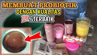 Cara Buat Probiotik Sendiri Untuk Ternak Sapi Dan Kambing