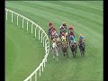 2007 香港打吡大賽 「活力金剛」勝出2007年度香港打吡大賽