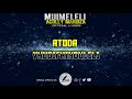 ACOLLY MANDIZA - MUIMELELI ( OFFICIAL LYRICS )