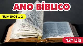 Ano Biblico   42º Dia