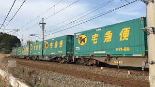 貨物列車 EH500-51牽引 高速貨物3050レ　宇都宮線 野崎–矢板　2021.4.24