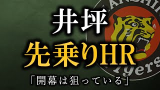 井坪、春季キャンプで一番期待している楽しみな選手【阪神タイガース】