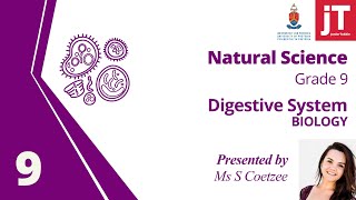 Grade 9 Natural Science - Biology - Digestive System