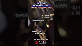 小狗玩滑梯上癮，和小朋友爭著玩還“插隊”，網友：沒人能拒絕會玩滑梯的小狗。