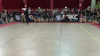 EBKC EURO BULLY EXPO SHOW 3.3.2019 MALE 1-2 YEARS American Bully Pocket