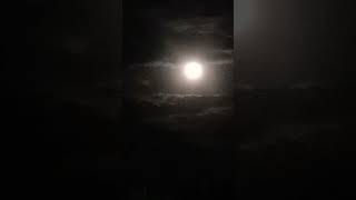 #fullmoon 𝙏𝙝𝙚 𝙈𝙤𝙤𝙣 𝙍𝙀𝙁𝙇𝙀𝘾𝙏𝙎  𝙏𝙃𝙀 𝙎𝙐𝙉'𝙎  𝙇𝙄𝙂𝙃𝙏😱🤯🤩😎😯😲