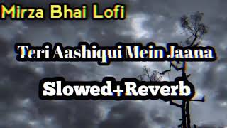 Teri aashiqui mein jaana slowed+reverb