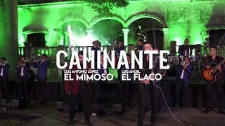 Luis Ángel "el flaco" ft Mimoso - El Caminante - |LETRA |