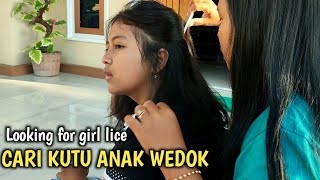 Cari kutu Anak wedokan/Looking for girl lice