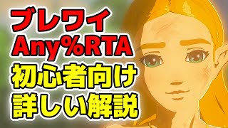 【RTA解説】ブレワイAny%初心者さん向けルートの詳しい解説(NoAmiibo)【ゼルダの伝説ブレスオブザワイルド】