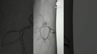 How to Draw a Turtle 🐢 Step by Step Drawing Tutorial #shorts