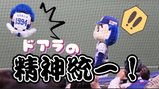 【バク宙タイム】悔しくて耳パタンのドアラさん【頑張る姿はかっこいい！】