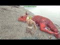 【ark survival evolved】 fjordur 初めてのレンタルサーバーで鯖立ててやってみる四苦八苦な毎日をエンジョイプレイ！