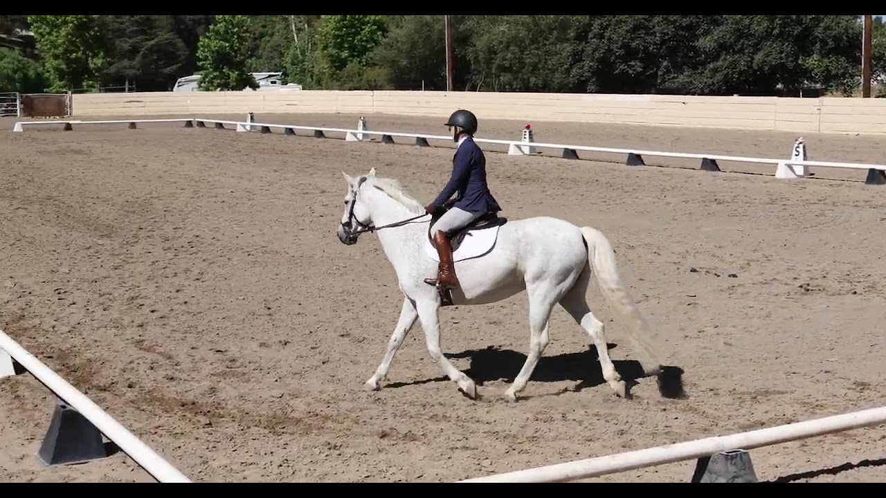 20230728 10:05 Carolyn Lochhead, USDF Introductory Level, Test B - YouTube