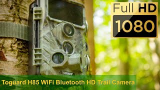 Toguard H85 Bluetooth Trail Camera - Daytime Footage of Deer 🦌