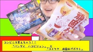 コンビニに売ってた！！「バンダイ　ハコビジョン」と「コイケヤ　頑固あげポテト」