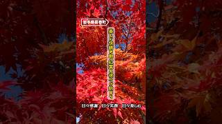 10月17日、おはようございます😃＃岩手県 ＃葛巻町 美しい快晴の朝☀️紅葉も徐々に〜🍁