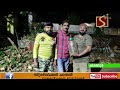 വേനല്‍ കനത്തതോടെ പാമ്പുകളുടെ ശല്യം വര്‍ധിക്കുന്നു