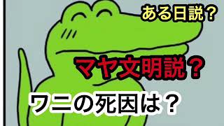 【100日後に死ぬワニの死因を予想！】※ワニくん死んで欲しくない！！生きていてほしい！！本気で当たってしまいそうな説をとなえてしまいました‥